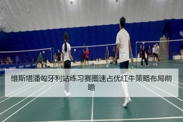 维斯塔潘匈牙利站练习赛圈速占优红牛策略布局前瞻